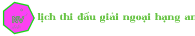 lịch thi đấu giải ngoại hạng anh 2025 Logo